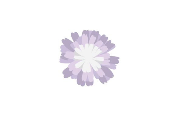 Beauty Plant Summer Floral
