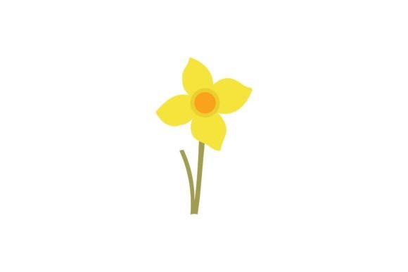 Bloom Flower Decoration
